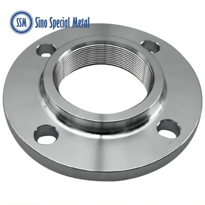 Hastelloy C276 DIN 86029 86030 ovale flenser med jevn gjenge